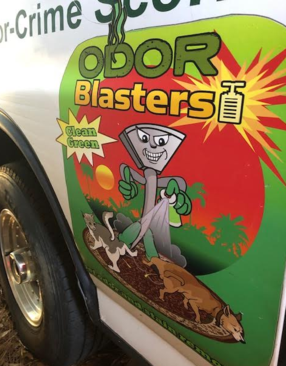 Pet Stain Remover Odor Blasters