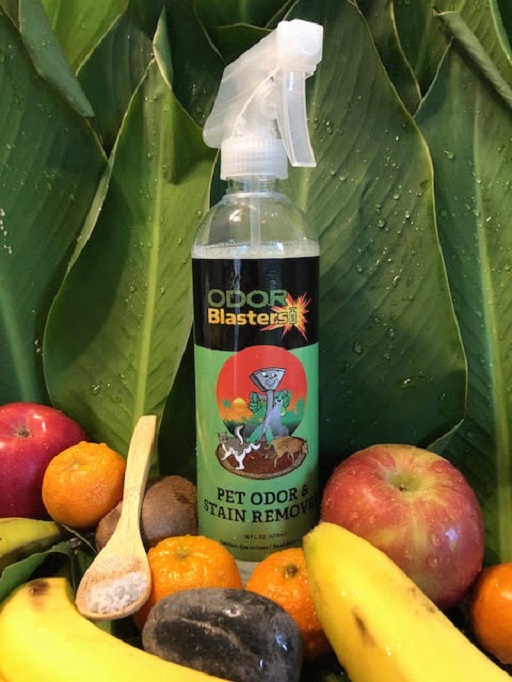 Oder Blasters pet odor and stain remover.
